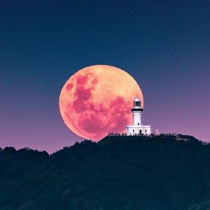 Meet your Posher, Simone